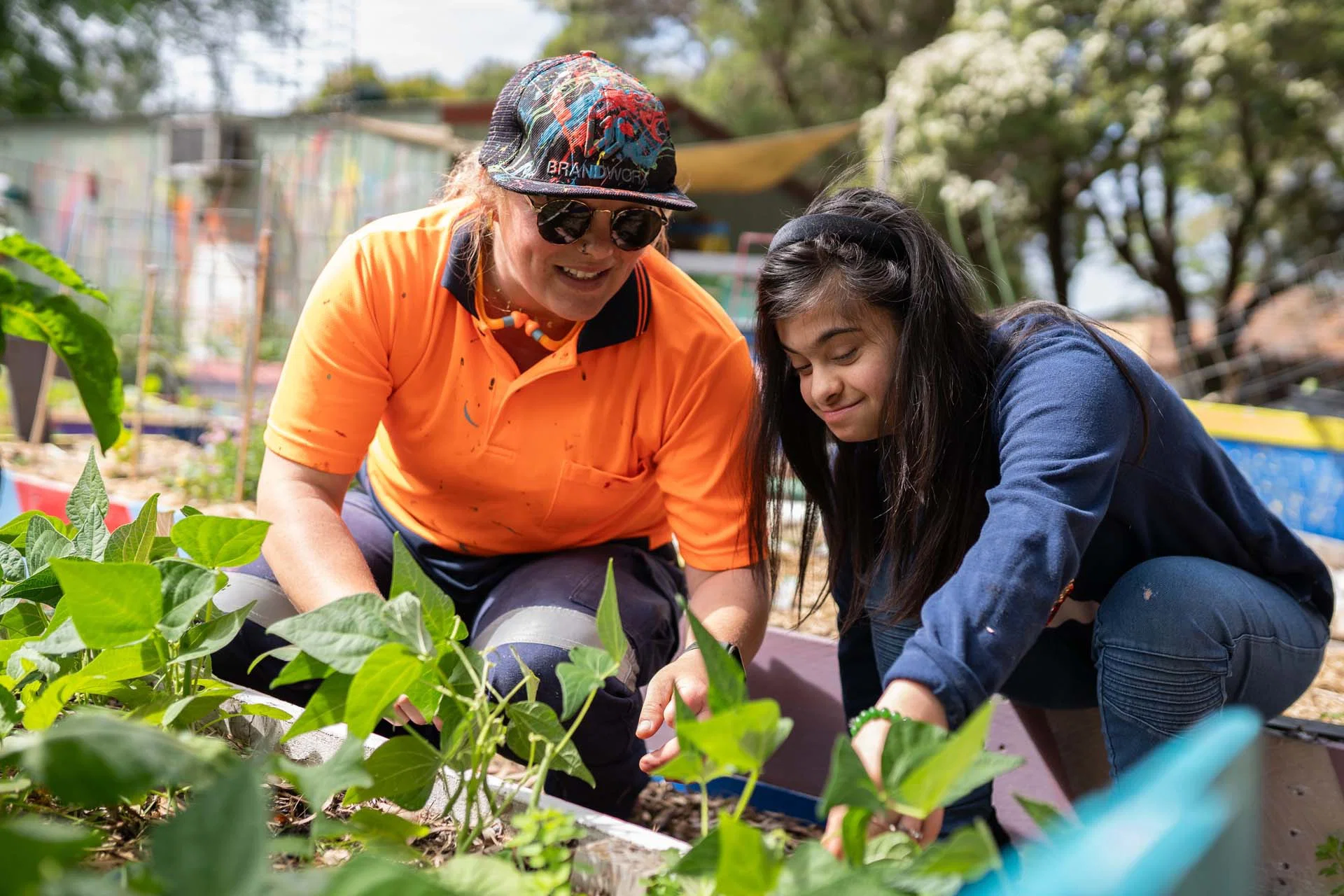 NDIS Lawn Maintenance Adelaide keeping lawns neat, healthy and well maintained